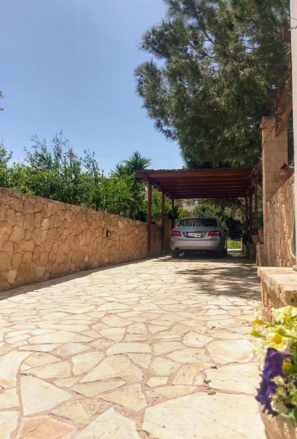 Mediterranean Garden Villa Vathi  Екстер'єр фото