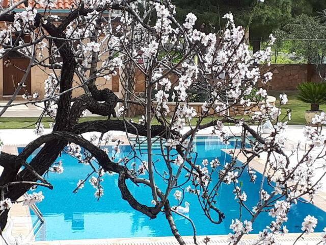 Mediterranean Garden Villa Vathi  Екстер'єр фото