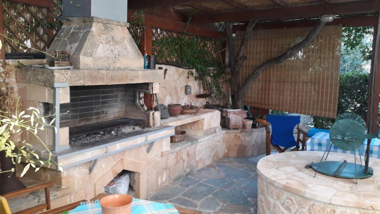 Mediterranean Garden Villa Vathi  Екстер'єр фото
